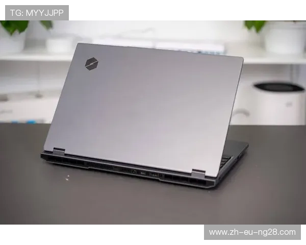 机械革命用户最喜欢的游戏类型与热门推荐清单分析